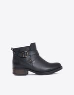 BOTA-DELFI