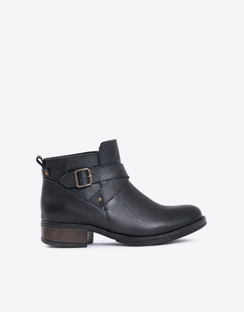 BOTA-DELFI