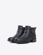 BOTA-DELFI