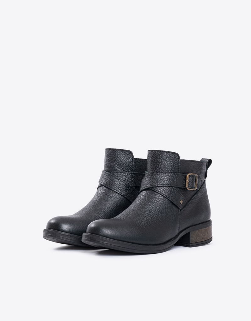 BOTA-DELFI