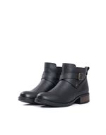 BOTA-DELFI